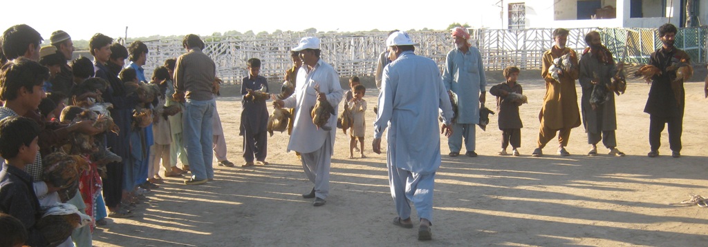 Photo 6 from Association for Humanitarian Development 